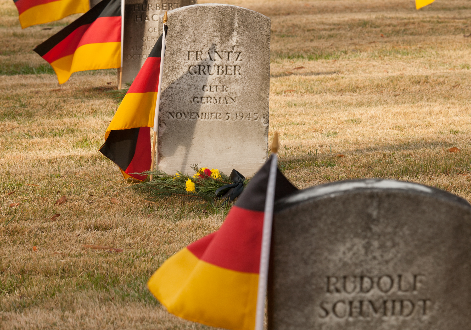 Kayvan Soufi-Siavash